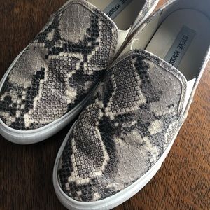 Steve Madden Snakeskin slip-on sneaker